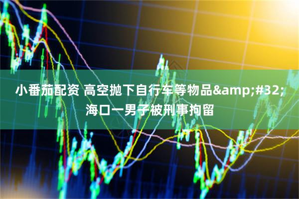 小番茄配资 高空抛下自行车等物品&#32;海口一男子被刑事拘留