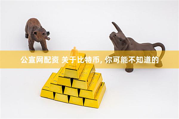 公宣网配资 关于比特币, 你可能不知道的