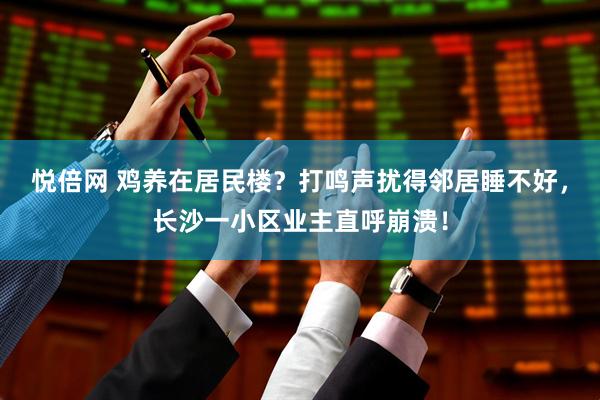 悦倍网 鸡养在居民楼？打鸣声扰得邻居睡不好，长沙一小区业主直呼崩溃！